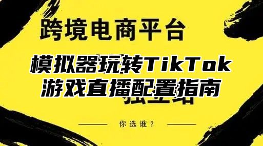 模拟器玩转TikTok游戏直播配置指南