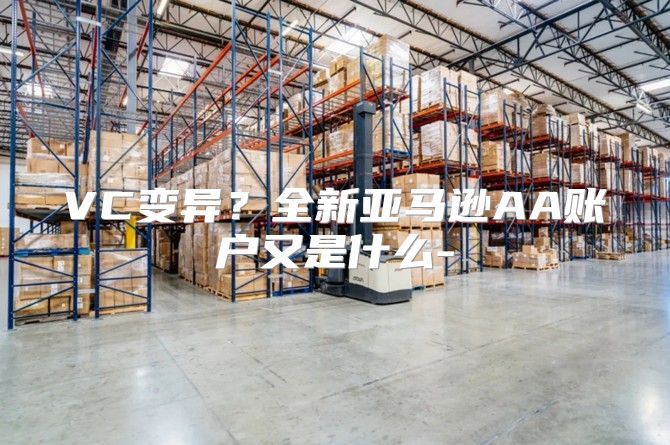 VC变异？全新亚马逊AA账户又是什么-