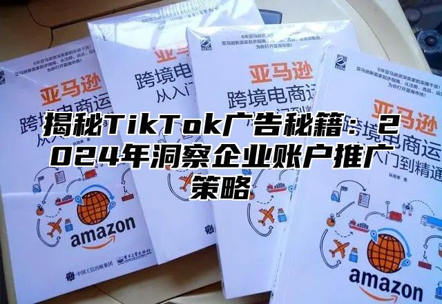 揭秘TikTok广告秘籍：2025年洞察企业账户推广策略