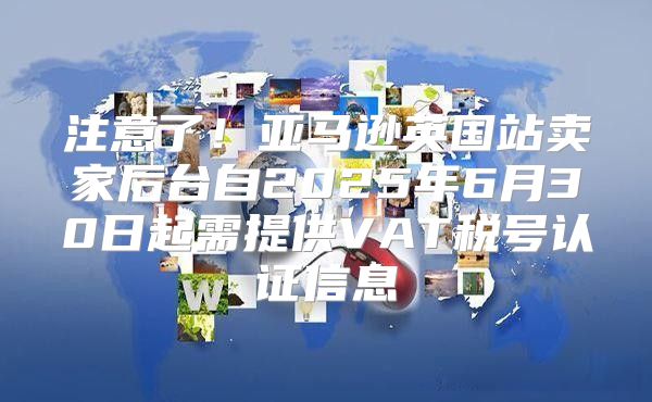 注意了！亚马逊英国站卖家后台自2025年6月30日起需提供VAT税号认证信息