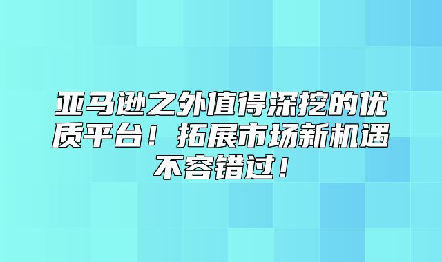 亚马逊之外值得深挖的优质平台！拓展市场新机遇不容错过！
