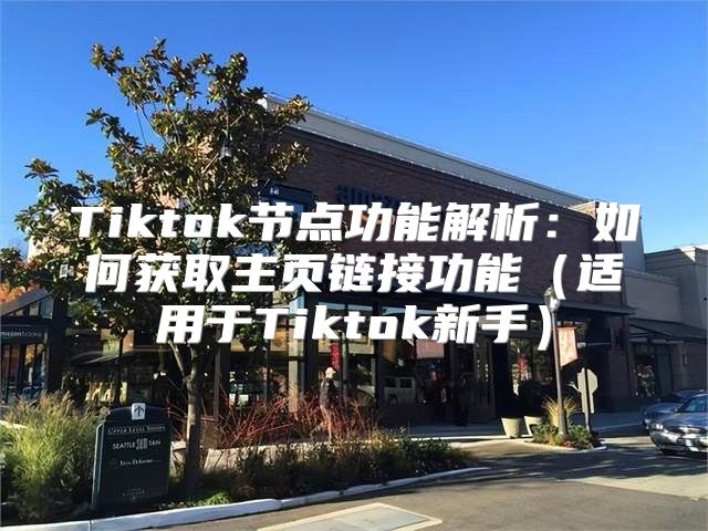 Tiktok节点功能解析：如何获取主页链接功能适用于Tiktok新手