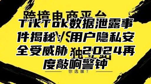 TikTok数据泄露事件揭秘：用户隐私安全受威胁，2025再度敲响警钟