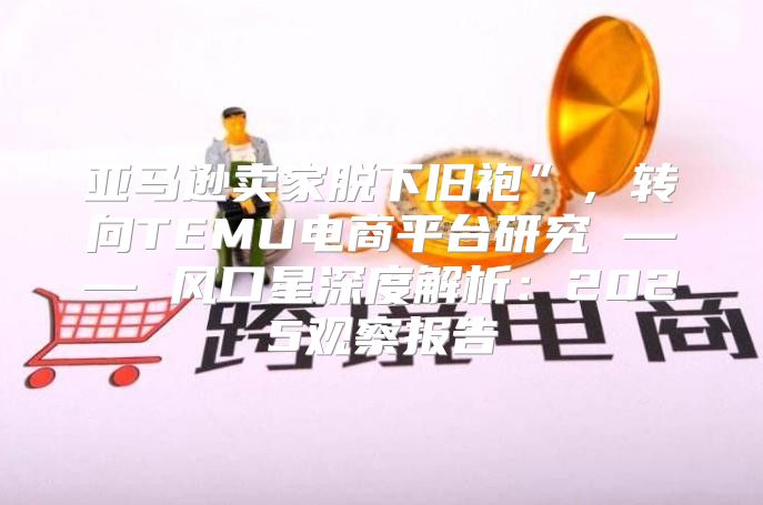 亚马逊卖家脱下旧袍”，转向TEMU电商平台研究 —— 风口星深度解析：2025观察报告