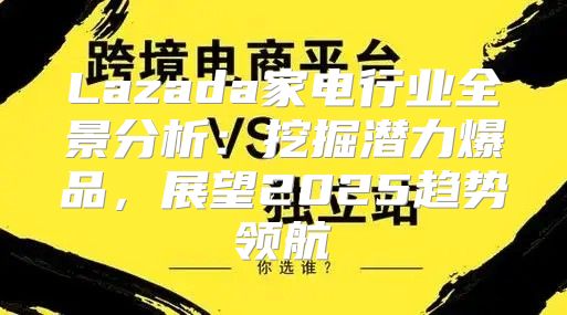 Lazada家电行业全景分析：挖掘潜力爆品，展望2025趋势领航