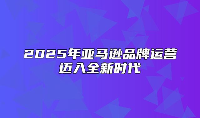 2025年亚马逊品牌运营迈入全新时代