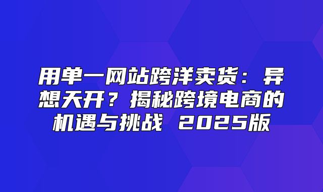 用单一网站跨洋卖货：异想天开？揭秘跨境电商的机遇与挑战 2025版