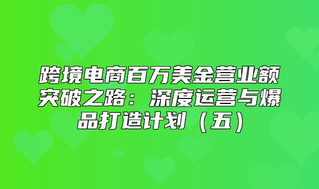 跨境电商百万美金营业额突破之路：深度运营与爆品打造计划五