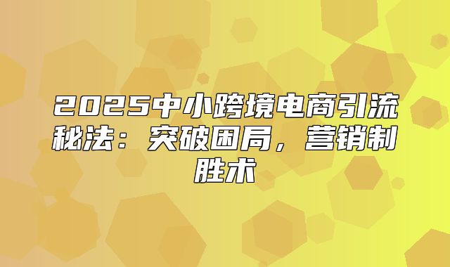 2025中小跨境电商引流秘法：突破困局，营销制胜术