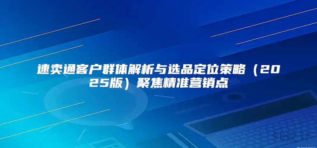 速卖通客户群体解析与选品定位策略2025版聚焦精准营销点