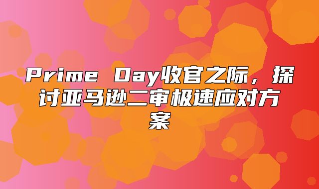 Prime Day收官之际，探讨亚马逊二审极速应对方案