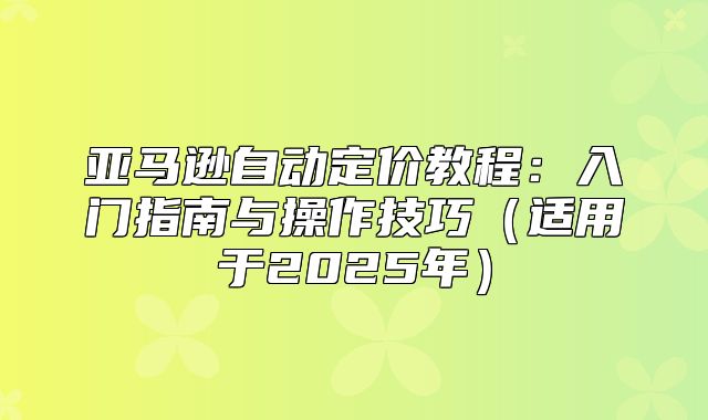 亚马逊自动定价教程：入门指南与操作技巧适用于2025年
