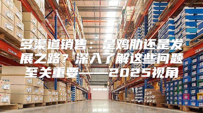 多渠道销售：是鸡肋还是发展之路？深入了解这些问题至关重要——2025视角