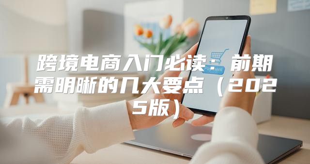 跨境电商入门必读：前期需明晰的几大要点2025版