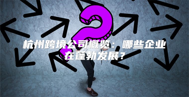 杭州跨境公司概览：哪些企业在蓬勃发展？