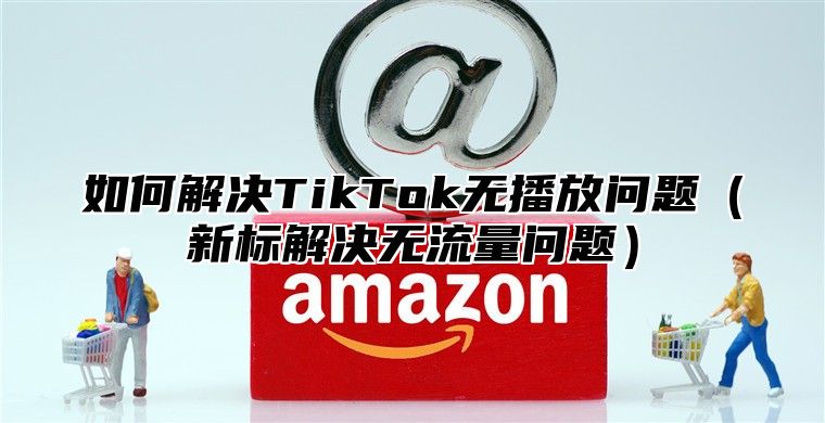 如何解决TikTok无播放问题新标解决无流量问题