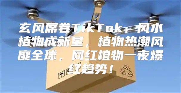 玄风席卷TikTok，风水植物成新星，植物热潮风靡全球，网红植物一夜爆红趋势！