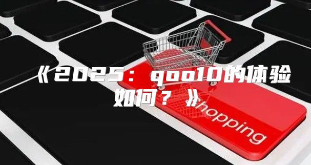 2025qoo10的体验如何？