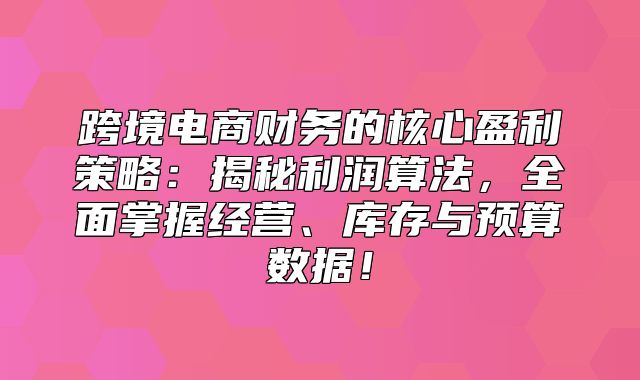 跨境电商财务的核心盈利策略：揭秘利润算法，全面掌握经营、库存与预算数据！