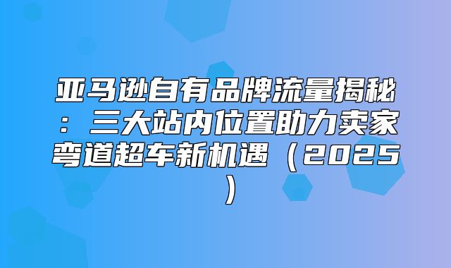 亚马逊自有品牌流量揭秘：三大站内位置助力卖家弯道超车新机遇2025