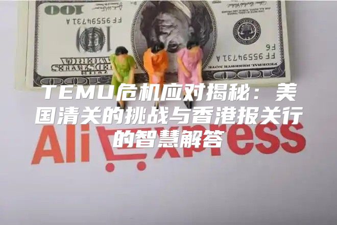 TEMU危机应对揭秘：美国清关的挑战与香港报关行的智慧解答