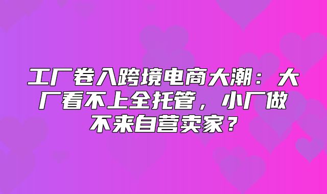 工厂卷入跨境电商大潮：大厂看不上全托管，小厂做不来自营卖家？