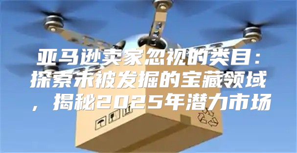 亚马逊卖家忽视的类目：探索未被发掘的宝藏领域，揭秘2025年潜力市场