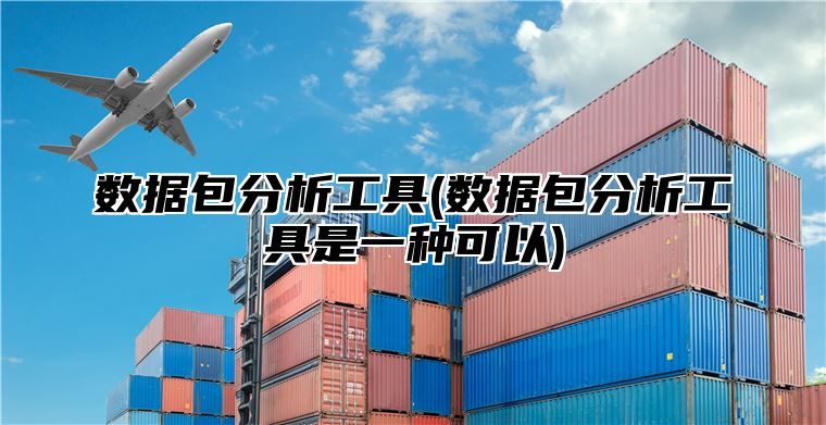 数据包分析工具(数据包分析工具是一种可以)