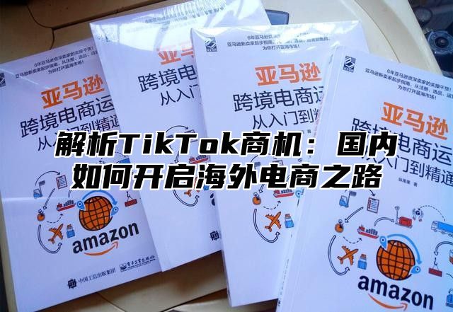 解析TikTok商机：国内如何开启海外电商之路
