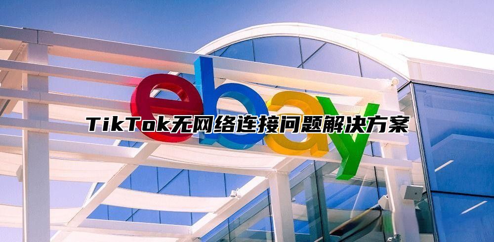 TikTok无网络连接问题解决方案