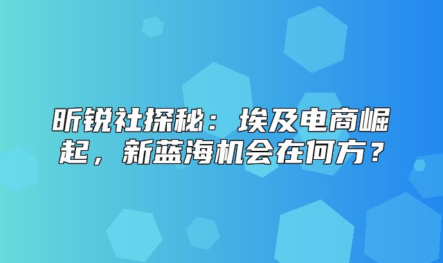 昕锐社探秘：埃及电商崛起，新蓝海机会在何方？