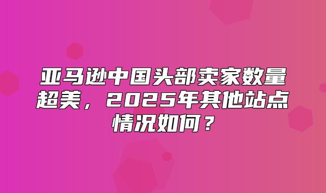 亚马逊中国头部卖家数量超美，2025年其他站点情况如何？