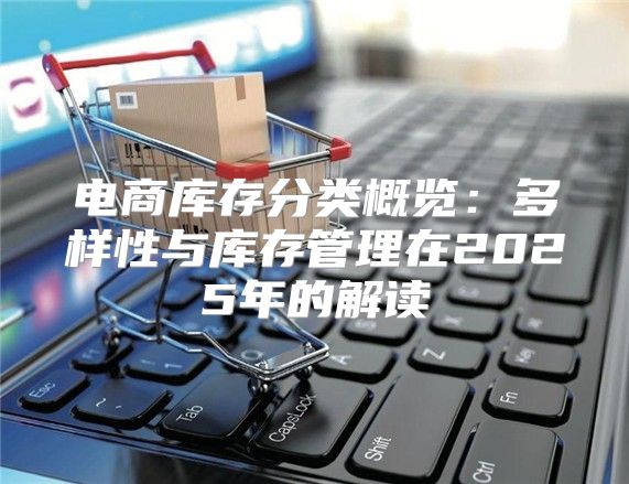 电商库存分类概览：多样性与库存管理在2025年的解读