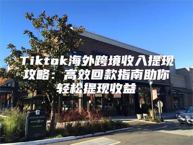 Tiktok海外跨境收入提现攻略：高效回款指南助你轻松提现收益