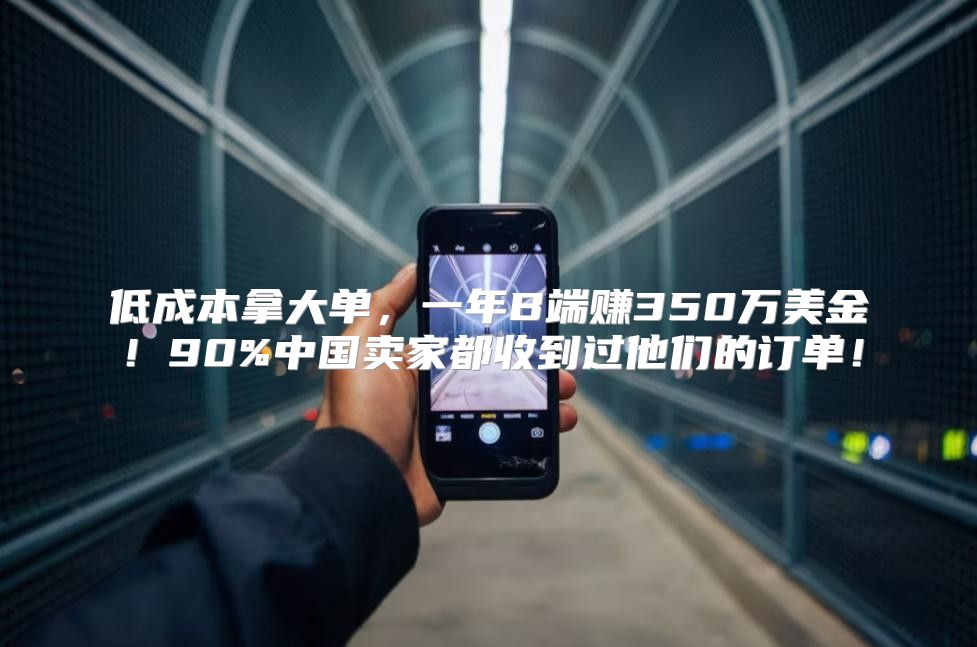 低成本拿大单，一年B端赚350万美金！90%中国卖家都收到过他们的订单！