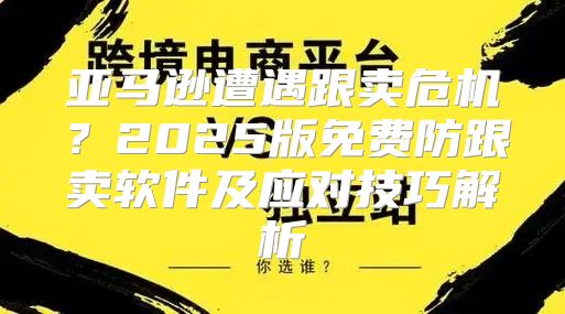 亚马逊遭遇跟卖危机？2025版免费防跟卖软件及应对技巧解析