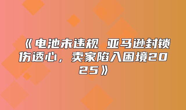 电池未违规亚马逊封锁伤透心，卖家陷入困境2025