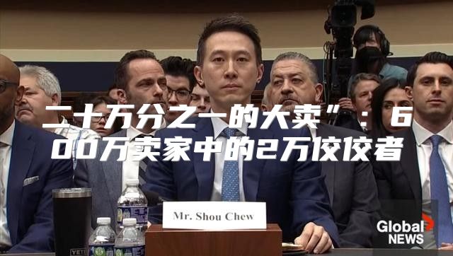 二十万分之一的大卖”：600万卖家中的2万佼佼者