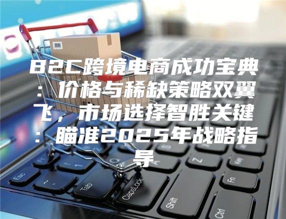 B2C跨境电商成功宝典：价格与稀缺策略双翼飞，市场选择智胜关键：瞄准2025年战略指导