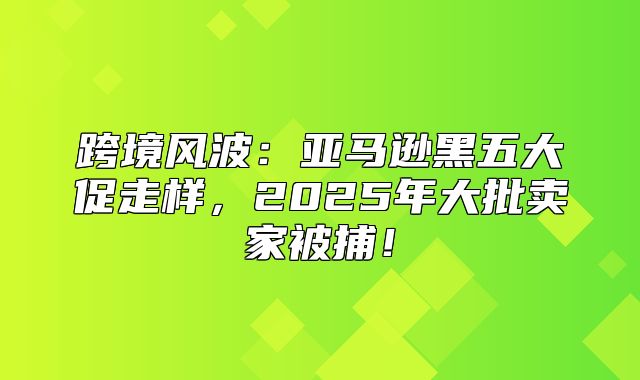 跨境风波：亚马逊黑五大促走样，2025年大批卖家被捕！