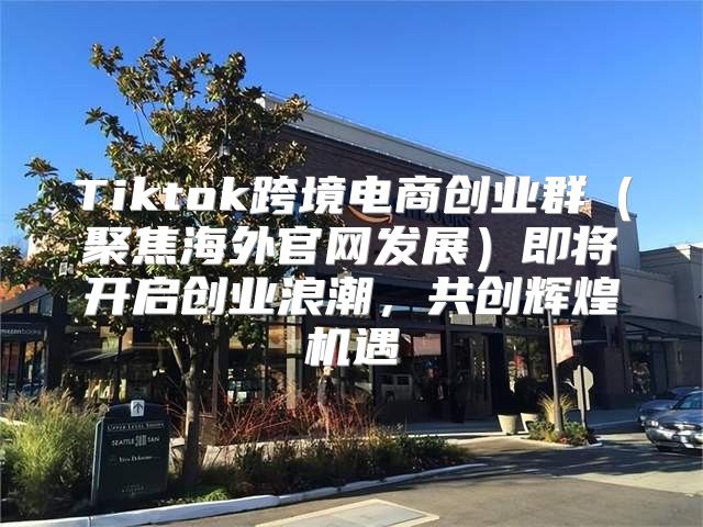 Tiktok跨境电商创业群聚焦海外官网发展即将开启创业浪潮，共创辉煌机遇