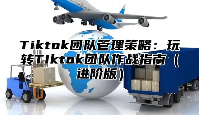 Tiktok团队管理策略：玩转Tiktok团队作战指南进阶版