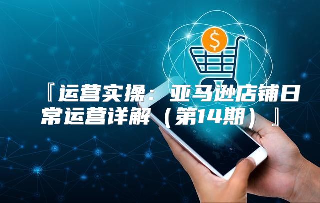 『运营实操：亚马逊店铺日常运营详解第14期』