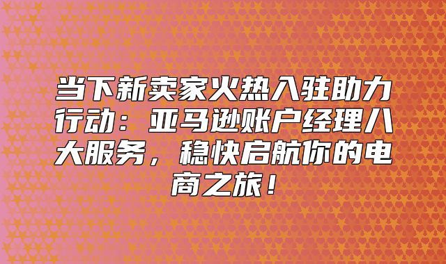 当下新卖家火热入驻助力行动：亚马逊账户经理八大服务，稳快启航你的电商之旅！