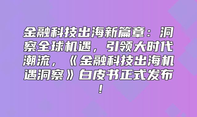 金融科技出海新篇章：洞察全球机遇，引领大时代潮流，金融科技出海机遇洞察白皮书正式发布！