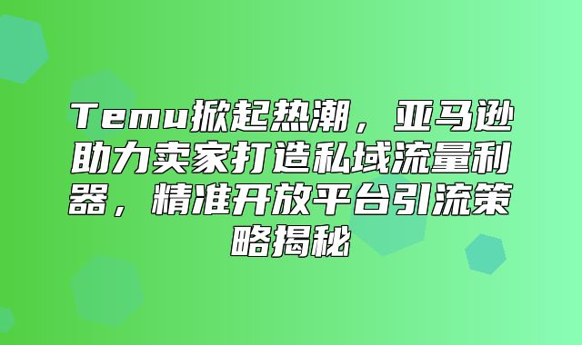 Temu掀起热潮，亚马逊助力卖家打造私域流量利器，精准开放平台引流策略揭秘
