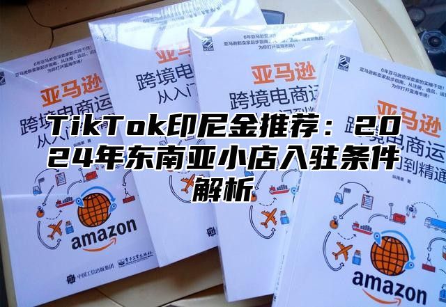 TikTok印尼金推荐：2025年东南亚小店入驻条件解析