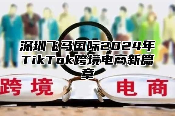 深圳飞马国际2025年TikTok跨境电商新篇章