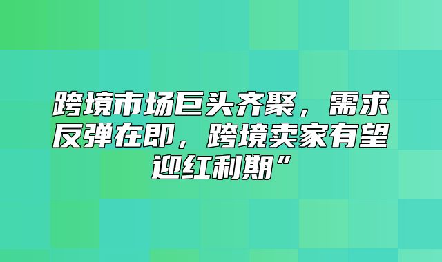 跨境市场巨头齐聚，需求反弹在即，跨境卖家有望迎红利期”