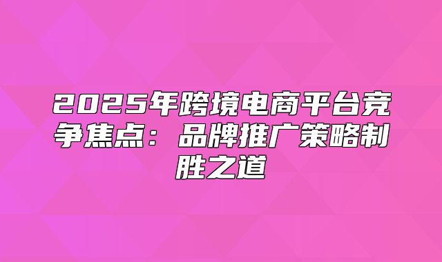 2025年跨境电商平台竞争焦点：品牌推广策略制胜之道